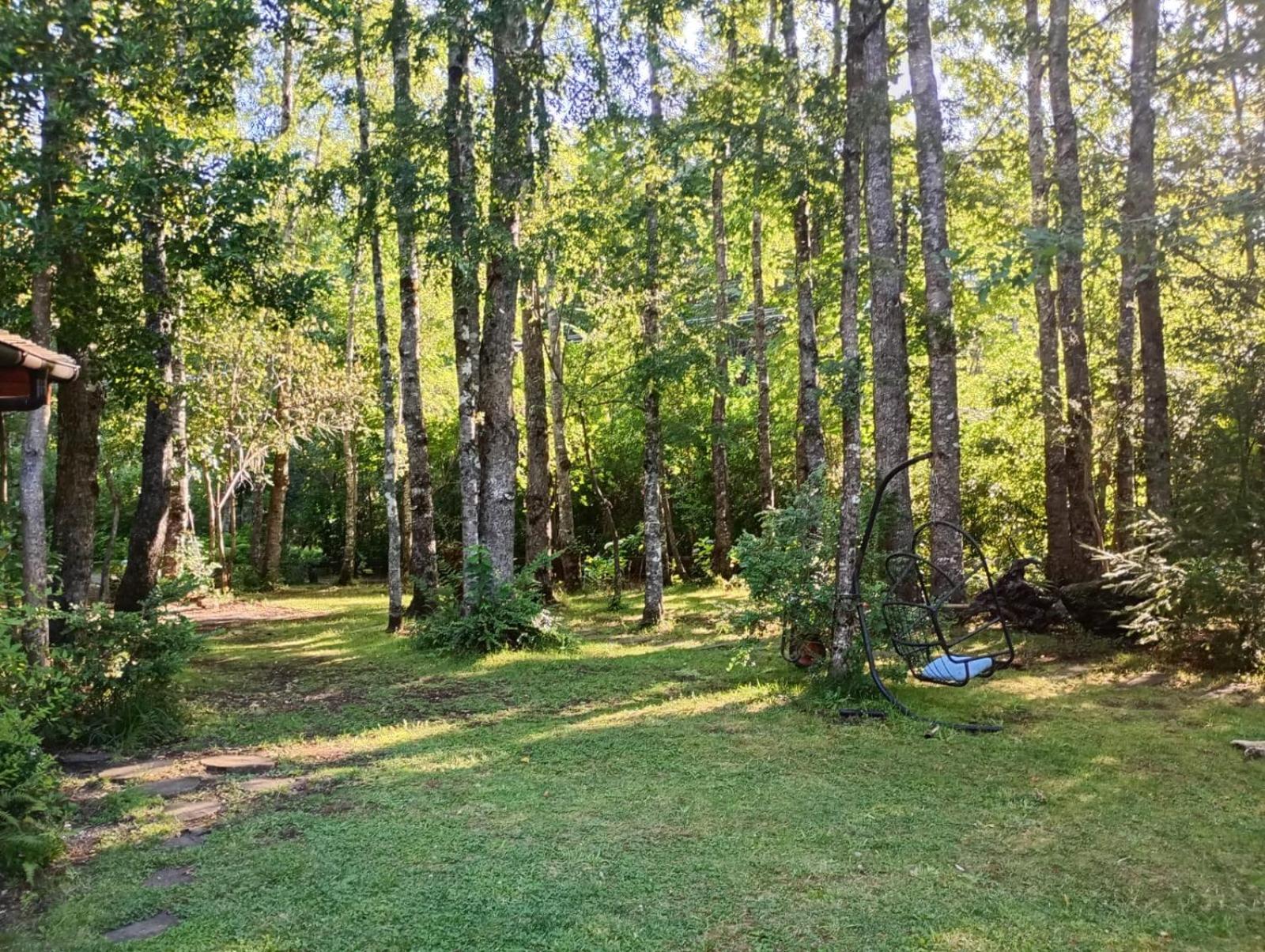 Casa En Bosque A 10 Minutos Del Centro De Сasa de vacaciones Pucón